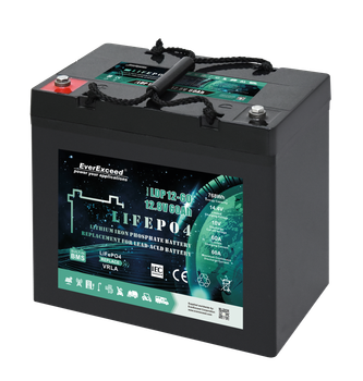 Аккумулятор EverExceed LDP12-60 (12.8V60Ah Bluetooth)