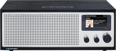 Інтернет-радіо Blaupunkt Napoli IRD 400 (510005678)