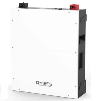 Аккумулятор DYNESS A48100