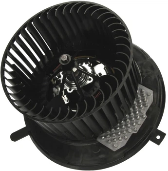 Мотор вентилятора пічки Thermotec (DDW010TT)
