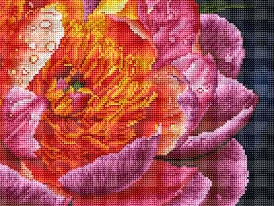 Алмазная мозаика Brushme Красочный пион (RDBS7005)