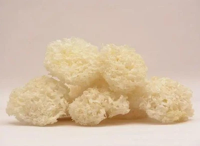 Грибы Коралловые Hiep Long 500 г