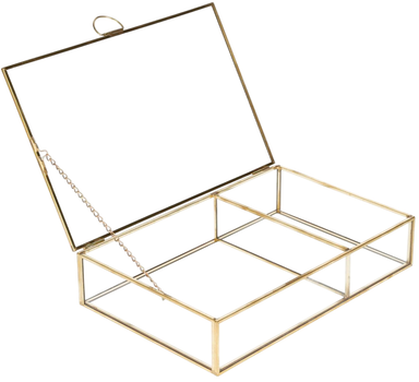 Шкатулка Holma Grazia прозора 23x15x5 см (5902869978535)