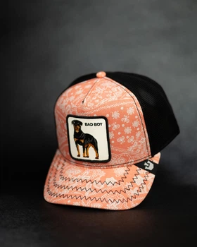 Кепка Goorin Bros Animal Farm BAD BOY Limited Collection One size (101-0948)