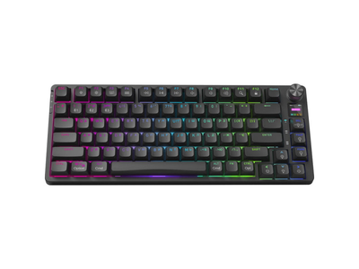 Клавіатура Hator Icefall PRO Wireless Black (HTK450UA)