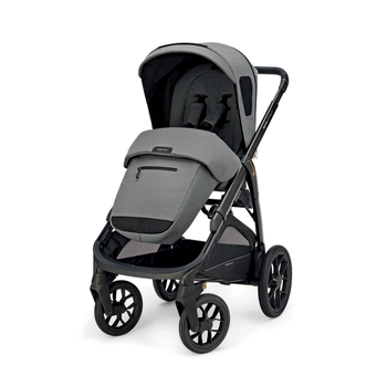 Детская прогулочная коляска Inglesina Aptica XT Canyon Grey