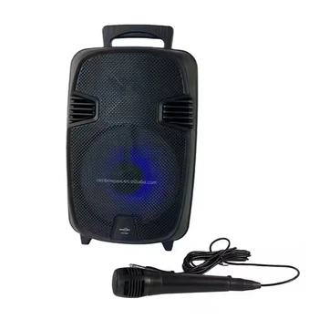 Беспроводная музыкальная колонка GTS-1248 8 дюймов + микрофон, караоке система 060p