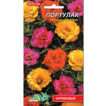 Насіння портулак суміш різні кольори однорічник карликовий 0.1 г