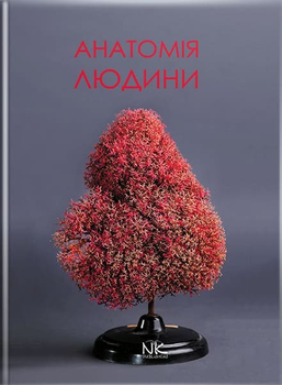 Анатомія людини. Підручник для фармацевтичного факультету. Матешук-Вацеба Л. Р.