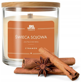 Świeca sojowa Big Nature cynamon 215 g (5905745620177)