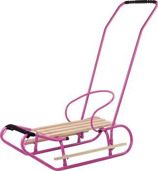 Металеві санки LEAN Toys з штовхачем 13367 Pink (5905323215924)