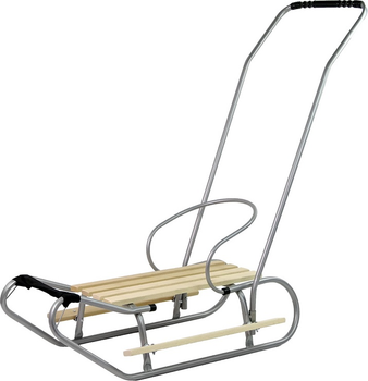 Металеві санки LEAN Toys з штовхачем 13369 Silver (5905323215900)
