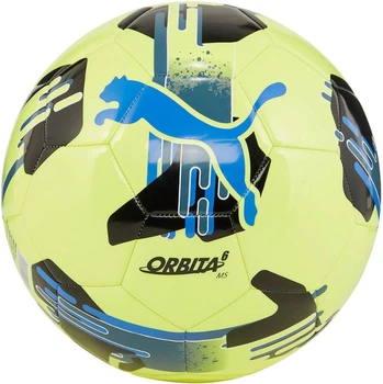 Мяч футбольный тренировочный Puma Orbita 6 MS №5 (4067981502660)