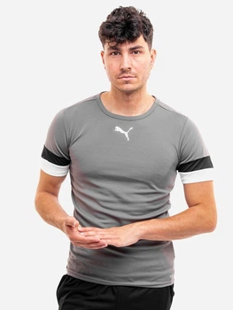Футболка спортивна довга чоловіча Puma teamRISE Jersey 704932-13 L Сіра (4063699213294)