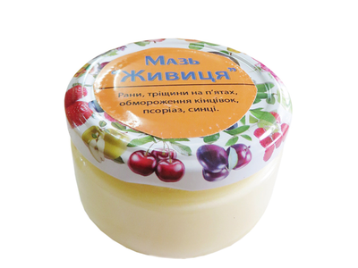 Мазь Живица 100 г (162508)