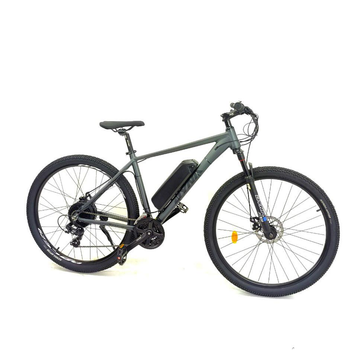 Електровелосипед DYNA 29" (750W 48V 21Ah)