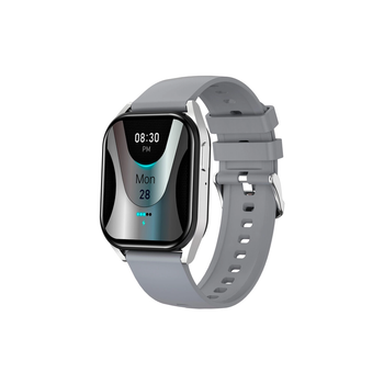 Смарт-часы Canyon Chatter SW-58 BT-CALL Silver Grey (CNS-SW58SS)