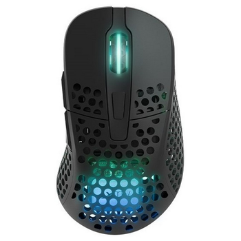 Мышь Xtrfy M4, WL/USB-A, RGB, черный