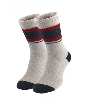 Теплые мужские носки Grayvin от MK SOCKS (41-44) Серый Z-1001-A