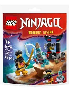 Klocki konstrukcyjne LEGO Ninjago Bitwa Arina z Dragonem 48 elementy (30700)