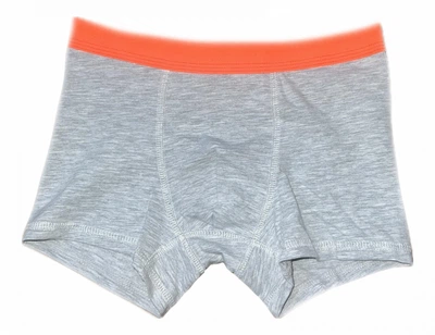Трусики-боксеры для мальчика H&M 0748516-5 122-128 см (6-8 years) Серый