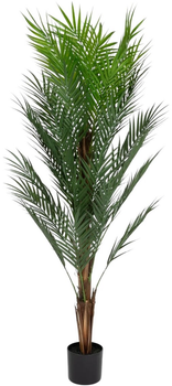Sztuczna roślina Homla Tropical Zone Palma 150 cm (5904183874258)