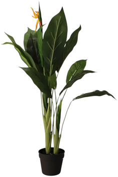 Sztuczna roślina Homla Ailia Strelicja 100 cm (5900410956537)