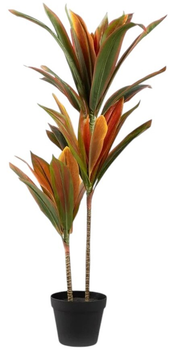Штучна рослина Homla Tropical Zone Драцена 90 см (5906496740596)