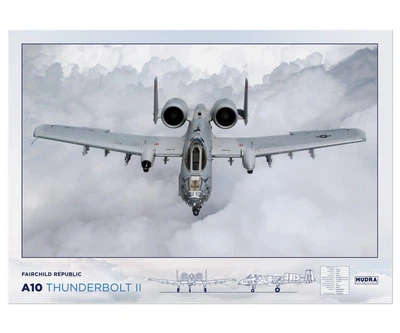 Постер CP A10 Thunderbolt II, Авиация 84х60 см (125)