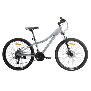 Велосипед FORTE STRIKER 25.2613-10A, к26" р13" серый