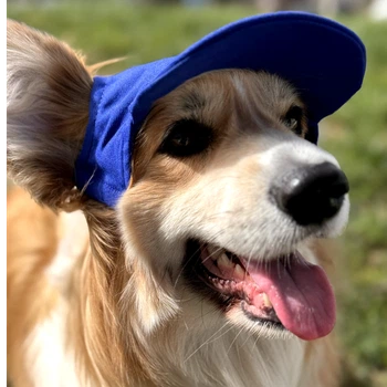 Кепка для собак Hat-Dog котон синя з регульованою затяжкою 3/M