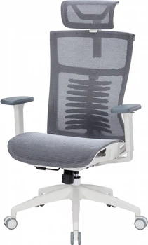 Кресло компьютерное офисное эргономичное OfficePro Balance OC620-W-DG-DG White/Dark Gray