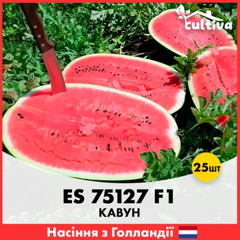 Арбуз Ergon Seed ES 75127 F1, 25 шт