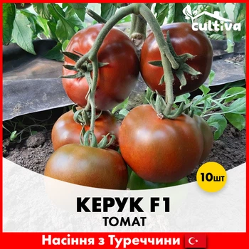 Томат Libra Seeds Керук F1, 10 шт