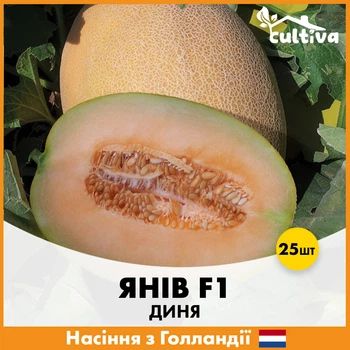 Дыня Hazera Янив F1, 25 шт