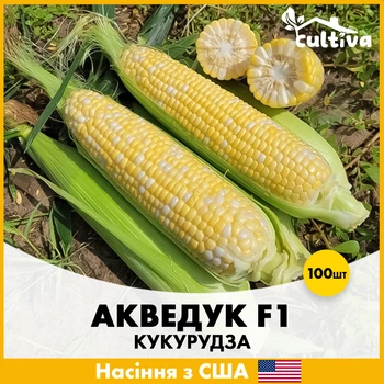 Суперсолодка Кукурудза Spark Seeds Акведук F1, 100 шт