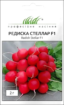 Семена Редис Стеллар F1, 2 г. (Syngenta)