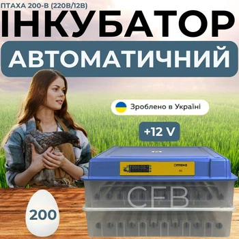 Автоматичний інкубатор на 200 яєць Птаха 200-В (220В/12В) з живленням 2в1 овоскопом та роликовою системою перевороту