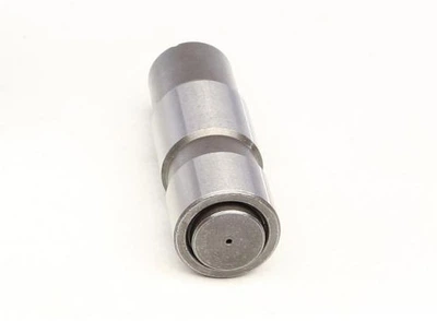 Натяжник ланцюга ГРМ Ford Escort/Galaxy 91-06 551 0006 10 INA