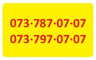 Пара золотых номеров Лайфселл lifecell 073-7x7-07-07