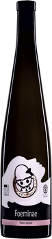 Вино Fabulas Foeminae Pinot Grigio Terre D'abruzzo IGT біле сухе 0.75 л 13.5% (8053839490001)