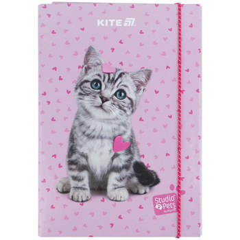 Папка для зошитів на гумці Kite Studio Pets В5 картон (SP25-210)