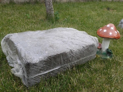 Грибний блок печериця двоспоровий Heirloom Королівський 60х40 см коричневий 18.5 кг