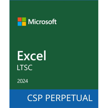 Офисное приложение Microsoft Excel LTSC 2024 Commercial Software, Perpetual (DG7GMGF0PN5H_0002)