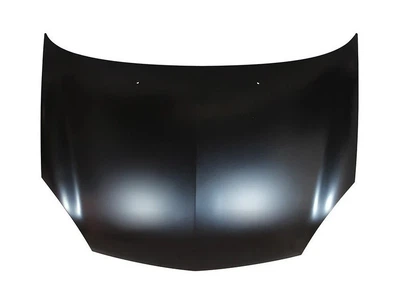 Капот REN CLIO 01-05 (TEMPEST) Tempest (0410463280G)