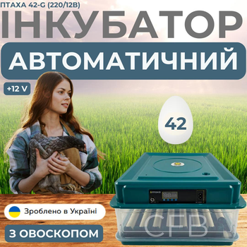 Инкубатор автоматический для яиц с автоматическим роликовым переворотным механизмом овоскопом и питанием 2в1 Птаха 42-G (220/12в) на 42 яйца