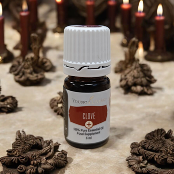 Ефірна олія Гвоздика / Clove+ 5ml 09080