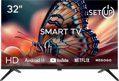 Телевизор SETUP 32" 32HSF30