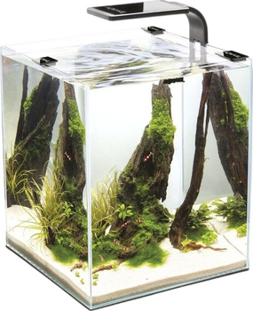 Акваріумний набір AquaEl Shrimp Set Smart Day&Night 10 Black (5905546326193)