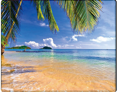 Ігрова поверхня Voltronic Tropical Palm Mixcolor (YT36448)